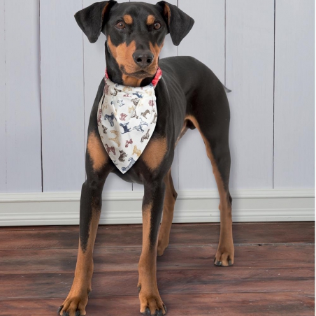 Wykrój Simplicity 9446